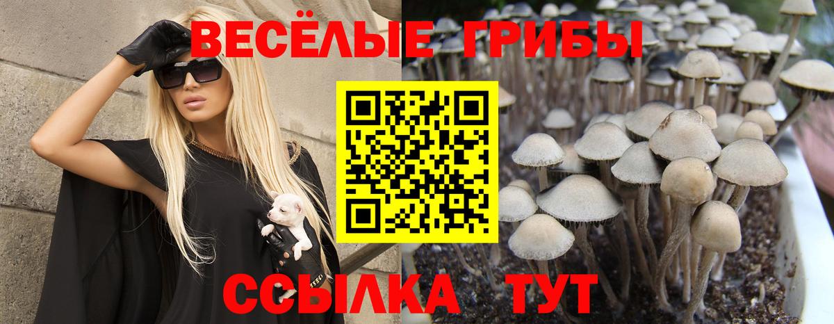 Джанкой  Псилоцибиновые грибы Cubensis  купить  сайты  Вход с VPN 